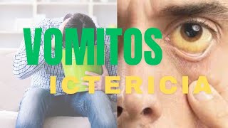 FISIOPATOLOGIA DE LAS NAUSEAS VOMITOS Y LA ICTERICIA FISIOPATOLOGIA PARA ESTUDIANTES [upl. by Ahseenyt23]