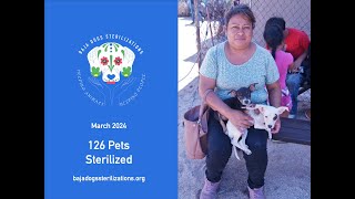 Baja Dogs Sterilizations May 2024 Campaign Pictures [upl. by Tterrej]