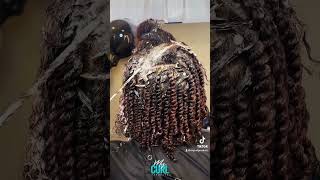 Two Strand Twist natural hair [upl. by Thirza]