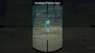 Hunting a Fallow Deer [upl. by Retsehc]