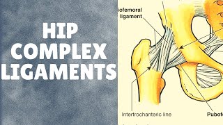 Ligaments of hip complex  With applied aspects [upl. by Eshelman]