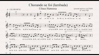 CHORANDO SE FOI  LAMBADA PB2 flauta violín oboe partitura con playback [upl. by Junius722]