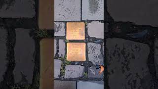 Stolpersteine 254 [upl. by Ycaj358]