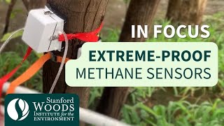 Monitoring Methane Stanford researchers design sensors to detect methane emissions from wetlands [upl. by Aubrey]