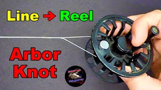 Tie ALL LINES to ANY REEL Using an Arbor Knot [upl. by Kaia571]