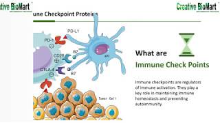 Immune Checkpoint Proteins [upl. by Kahler]