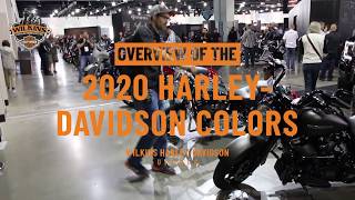 Quick Overview of the 2020 HarleyDavidson Colors [upl. by Stepha]