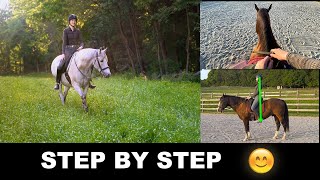 HOW TO RIDE A HORSE FOR BEGINNERS STEP BY STEP 🐎 [upl. by Moshe]