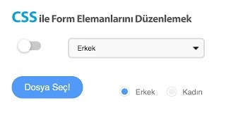 CSS ile Form Elemanlarını Düzenlemek [upl. by Janeczka260]