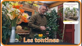 Les tontines [upl. by Tireb867]