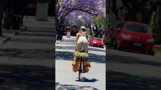 CYCLING INTO THE SPRING cycling cycle bike bikelife roadbike roadcycling [upl. by Chicoine949]