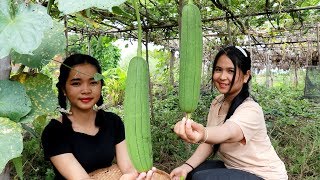 Luffa Gourds Soup Recipe  Cooking Vegetable  My Food My Lifestyle [upl. by Rosel]