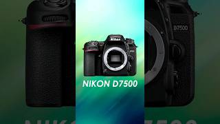 Nikon D7500 Review 📸 ✅️ [upl. by Aivital104]