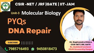 PYQs  DNA Repair  Molecular Biology genesisinstitute [upl. by Tiffie258]