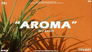 FREE Afrobeat Type Beat x Dancehall Type Beat  quotAromaquot  Rema x Omah Lay Type Beat 2024 [upl. by Garrett]