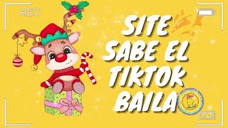 SI TE SABES EL TIKTOK BAILA 2024💖 Star Baila [upl. by Enitsed]