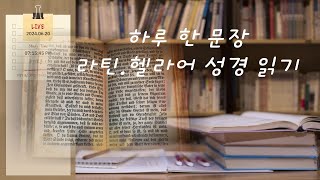 하루 한 문장 라틴헬라어 성경 읽기 마613 주기도문5 [upl. by Dall]