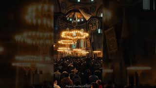 The Hagia Sophia is an iconic mosque and monument in Istanbul Turkey mosque fyp viralvideo [upl. by Eugenides869]