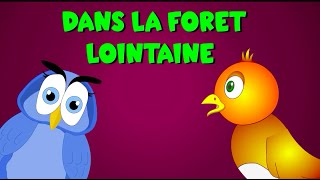 Dans la forêt lointaine  35 min de comptines et chansons pour enfants [upl. by Anek]