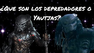 ¿Que son los depredadores o yautjas Explicación corta [upl. by Hsot841]