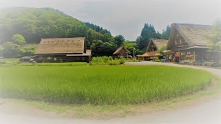 Walk  Suganuma Village Gokayama Toyama No Sound [upl. by Eerok]