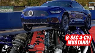 4Cylinder Mustang Runs 8s Ecoboost with Kelford Cams [upl. by Hepzi]