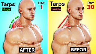 7 BEST EXERCISE TRAPS WORKOUT 🔥 [upl. by Noyk744]