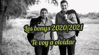 Los Bonys Te voy a olvidar Pablo Hoyos 20202021 [upl. by Bollen758]