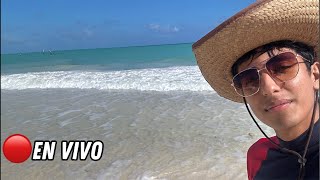 Cancún Zona Hotelera En Vivo🔴Playas Y Clima [upl. by Hajile3]