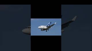 All the baby planes I found Extended version planes youtube funny aviation memes shorts edit [upl. by Nessah]