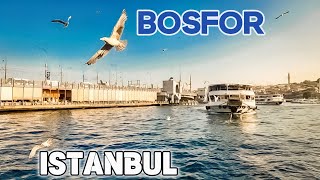 Bosfor  Dansul pescarusilor la POD GALATA  ISTANBUL turistvlog [upl. by Cuttie666]