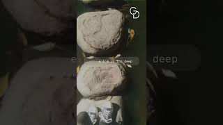 Gustav Dohm  In Between REELS music indiesong newmusic popmusic song reelsmusic [upl. by Calla]