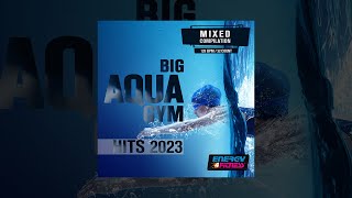 E4F  Big Aqua Gym Hits 2023 128 Bpm  32 Count  Fitness amp Music 2023 [upl. by Ennaerb]