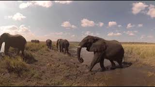 360 VR Video of Ngoma Safari Lodges  Africa Albida Tourism Botswana [upl. by Odelet147]