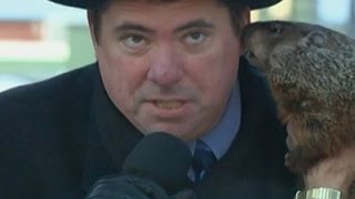 Groundhog Bites Wisconsin Mayor at Ceremony [upl. by Ludewig]