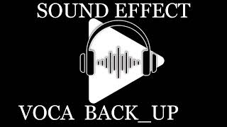 DJ vocal backup sound effects for free vocaleffects [upl. by Naujtna601]