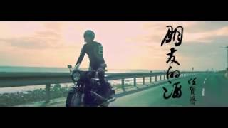 任賢齊 Richie Ren  朋友的酒 Official MV [upl. by Fokos]