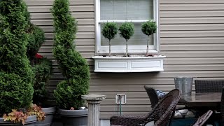 Planting the Window Box Birds 🐦 Hydrangea After Planting  Monrovia Boxwood Topiary Garden Queen [upl. by Nira]