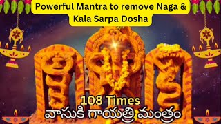 Vasuki gayatri mantra 108 times chanting for Naga and Kala Sarpa Dosha Nivarana [upl. by Nottus]