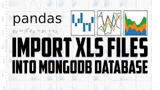 Use pandas python to open xls files and insert into mongodb nosql database [upl. by Aisauqal392]