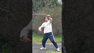 Kung Fu Bullwhip shorts martialarts bullwhip [upl. by Atsyrt]