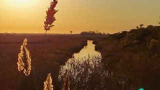 Manahawkin WMA sunrise 10282024 [upl. by Emawk]