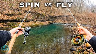 Fly Fishing vs Spin Fishing Which is better Trout Fishing [upl. by Daffodil]