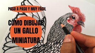 Cómo Dibujar Un Gallo miniatura Paso a Paso muy fácil [upl. by Yenatirb537]