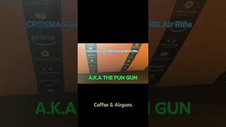 Count Down to Fun  shortsvideo airgun [upl. by Teressa]