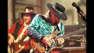 Stevie Ray Vaughan  Hideaway Guitar Backing Track [upl. by Julius]