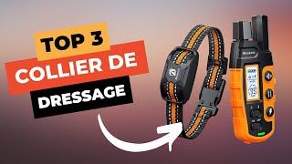 🔥 TOP 3  Meilleur Collier de Dressage 2024 [upl. by Merril800]