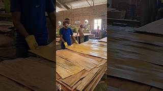 Plywood Manufacturing Company plywood manufacturing process [upl. by Abas554]