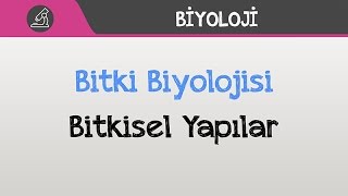 Bitki Biyolojisi  Bitkisel Yapılar [upl. by Montgomery]