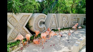 XCARET PARK  Mexicos Majestic Paradise [upl. by Asert]